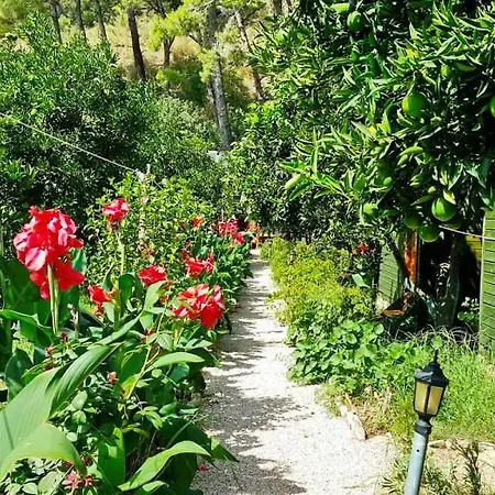 Tatilya Konukevi Olimpos