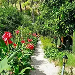 Tatilya Gasthof Olympos