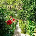 Tatilya Olympos