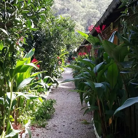 招待所 Tatilya