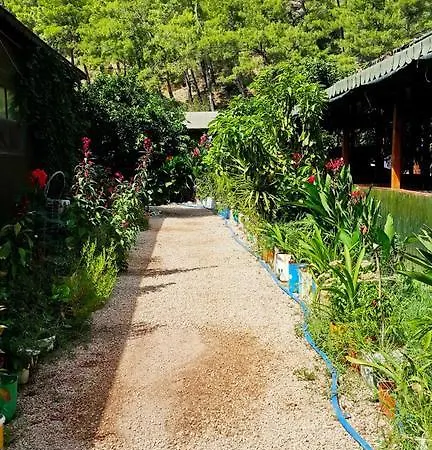 Tatilya 招待所
